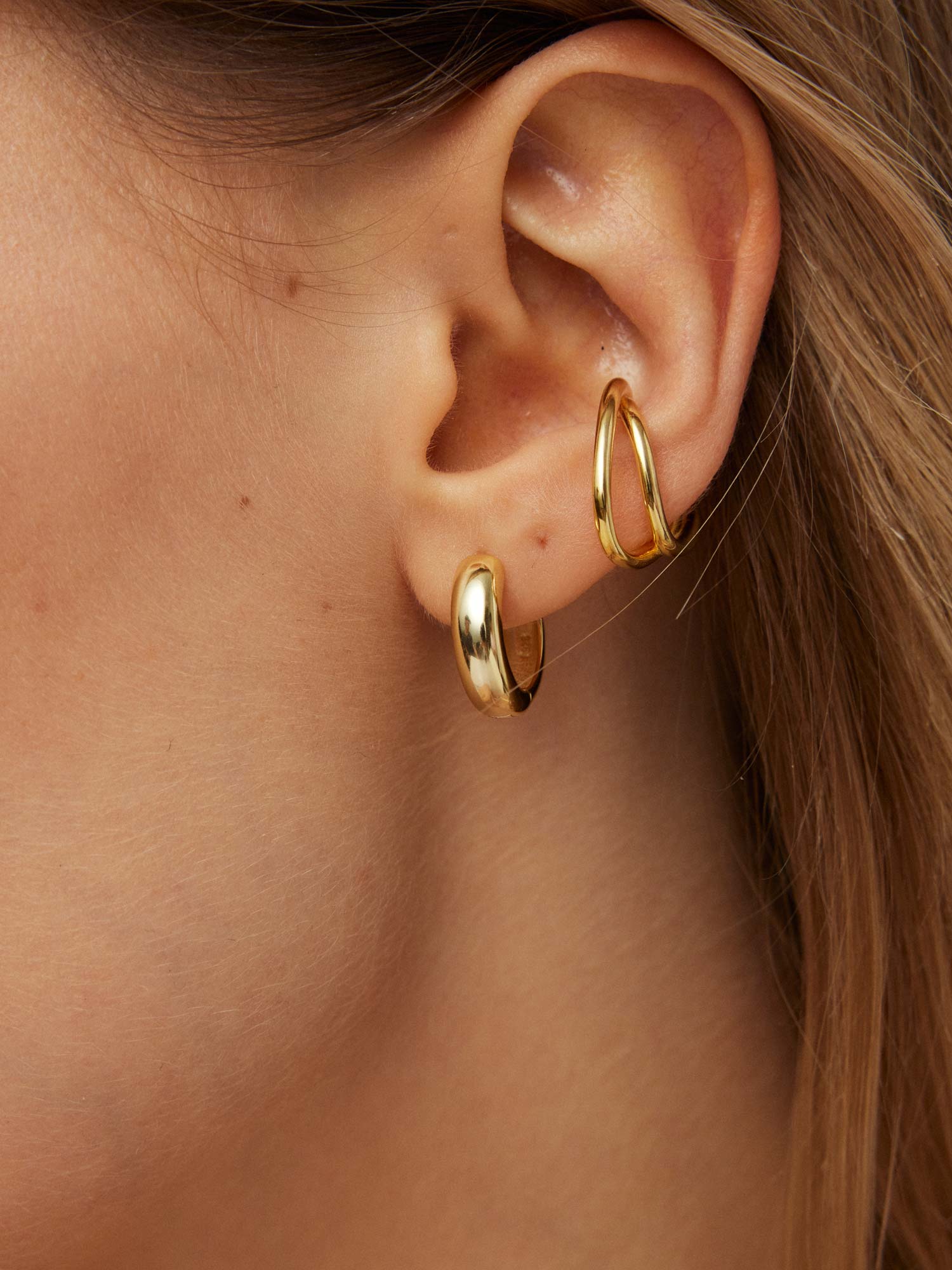 The Gilded Elegance Earrings