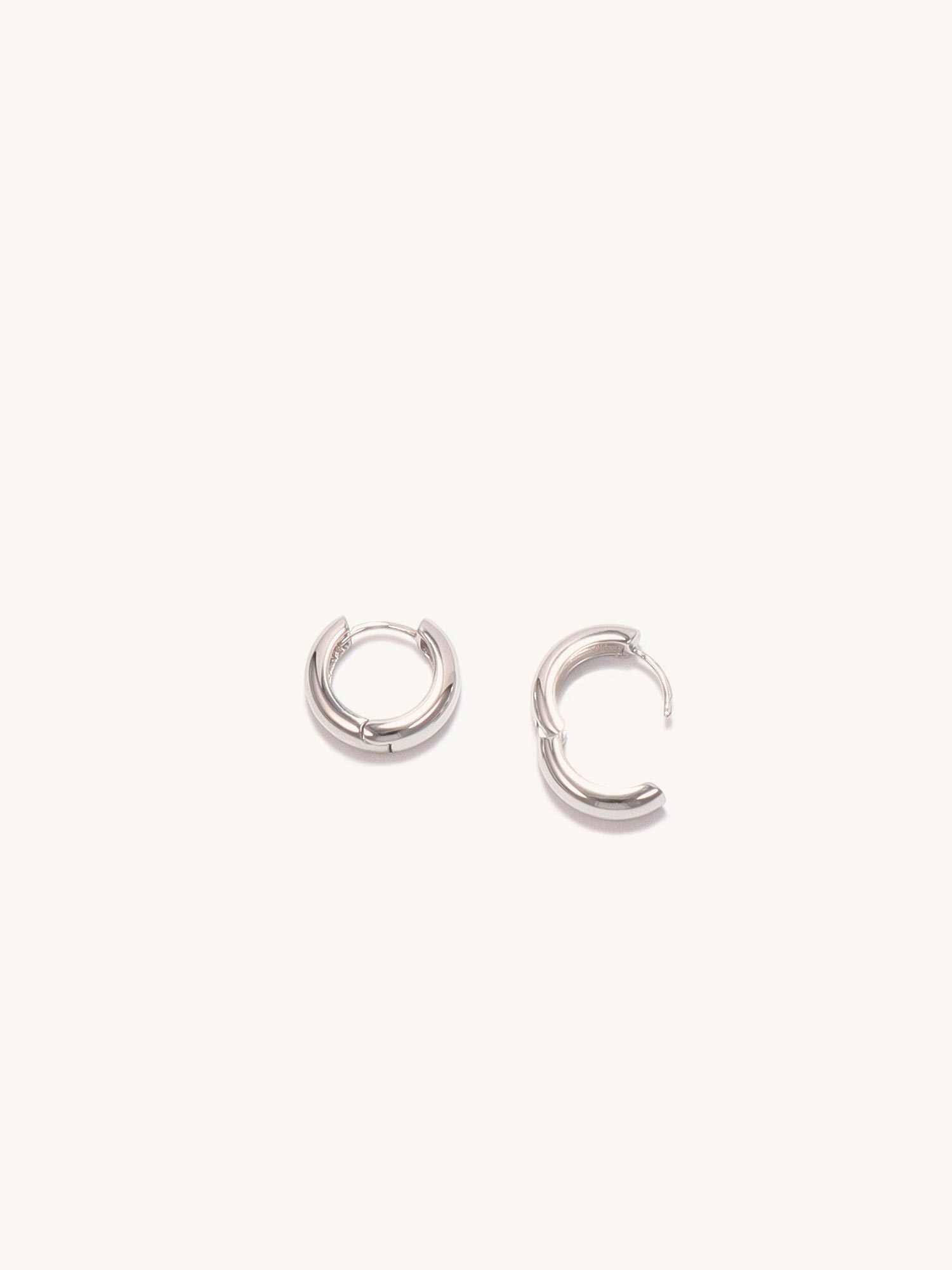 The Silver Elegance Earrings